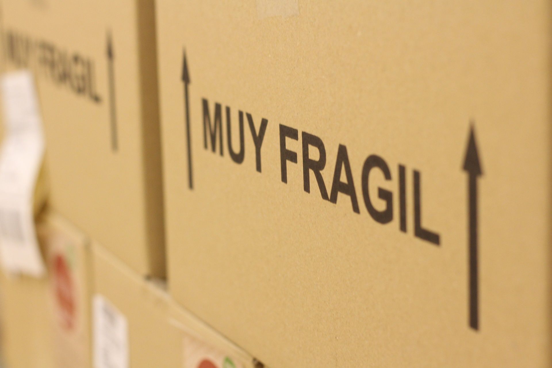 Sección visual CV Classic